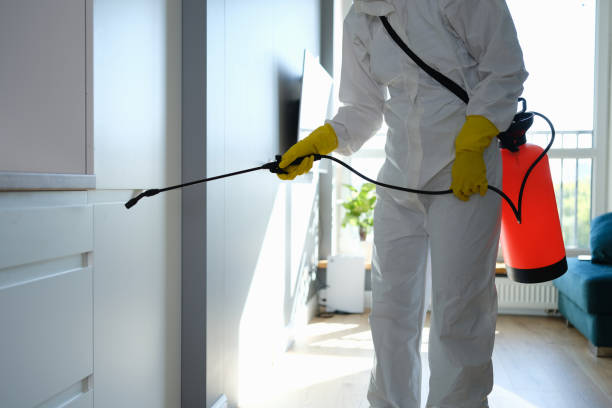 Professional Mold Remediation in Culpeper, VA
